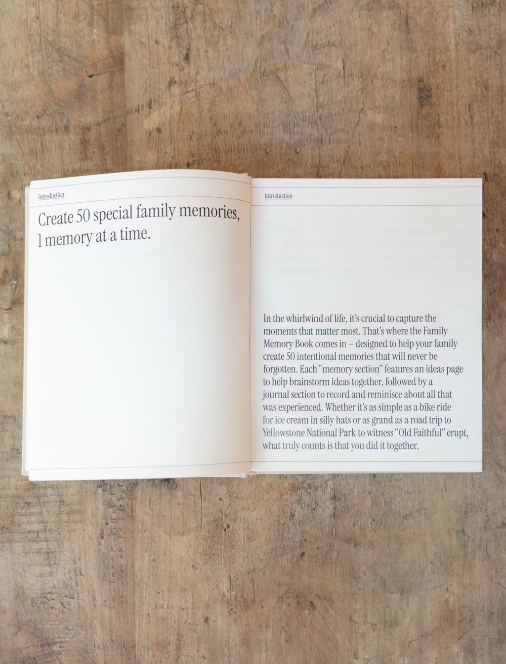 Precious Family Memory Book