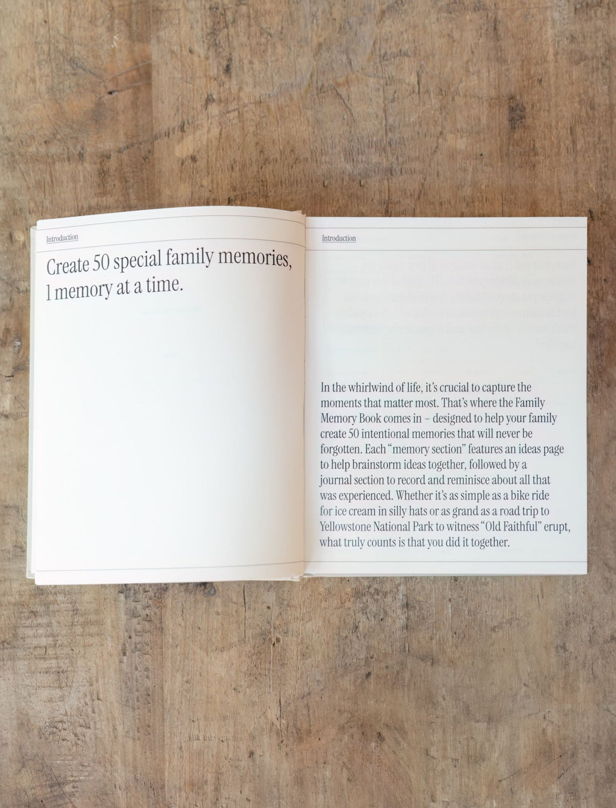 Precious Family Memory Book