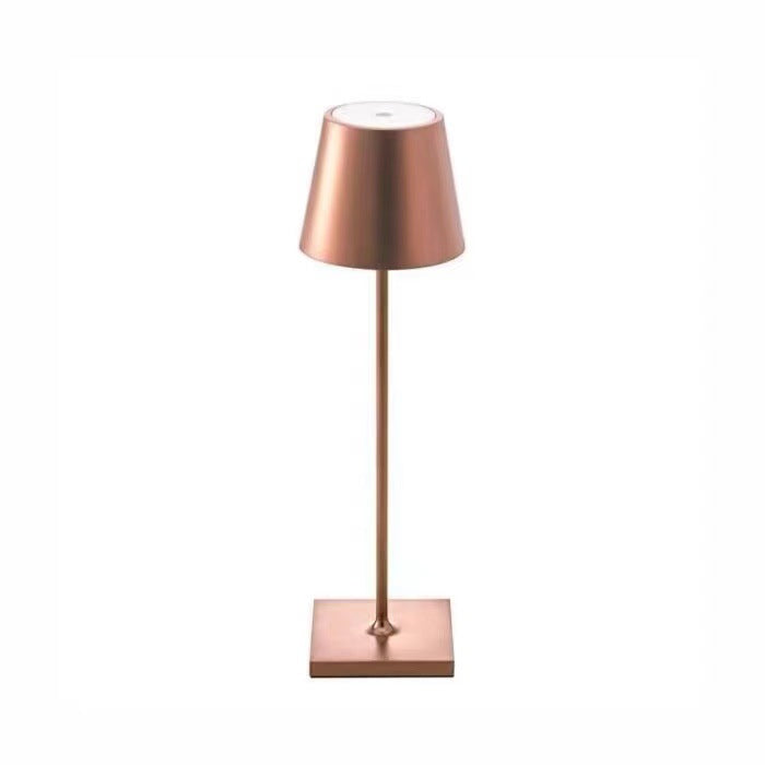 Modern Simple living portable light rechargable