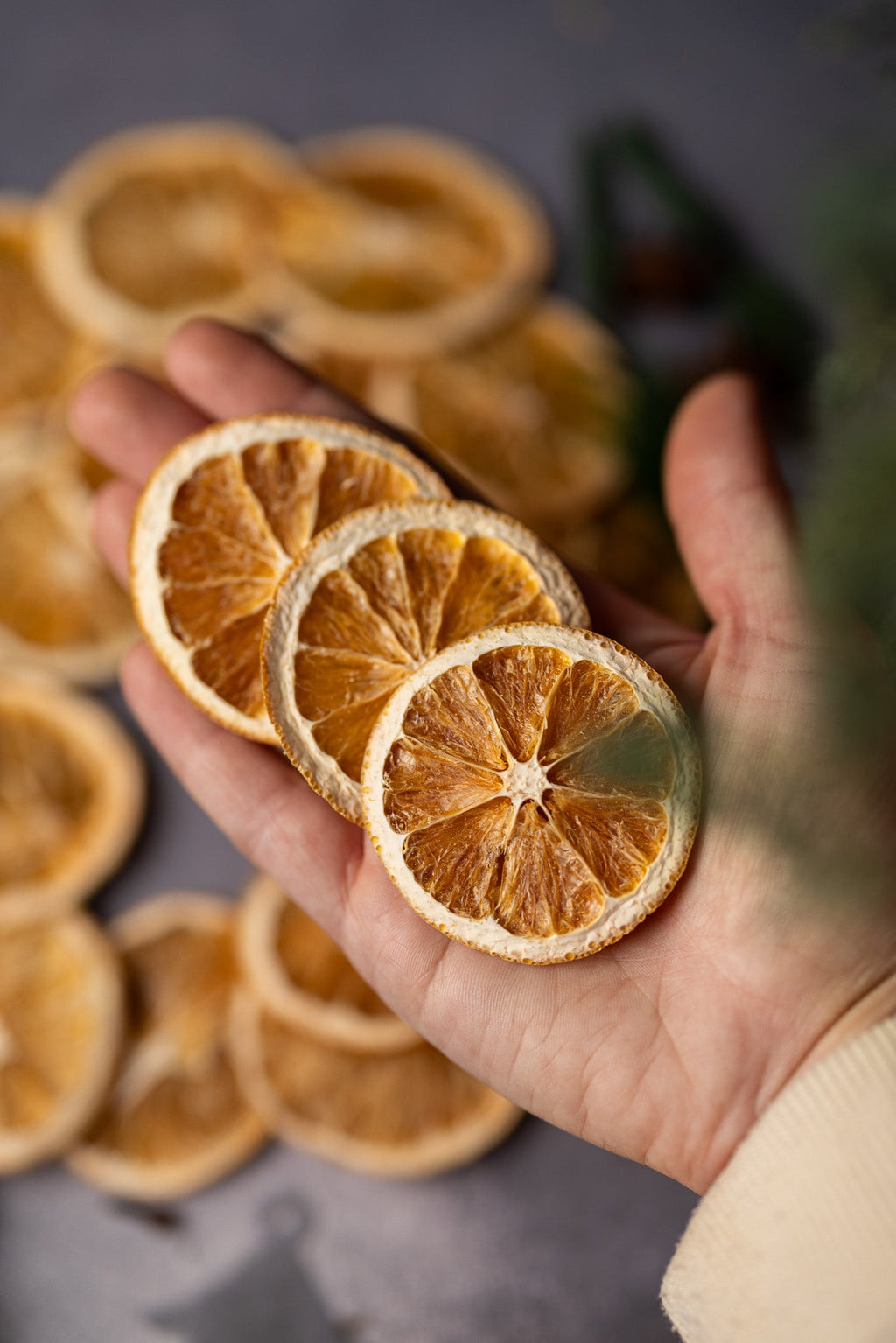 Perfect Dehydrated Orange Slices