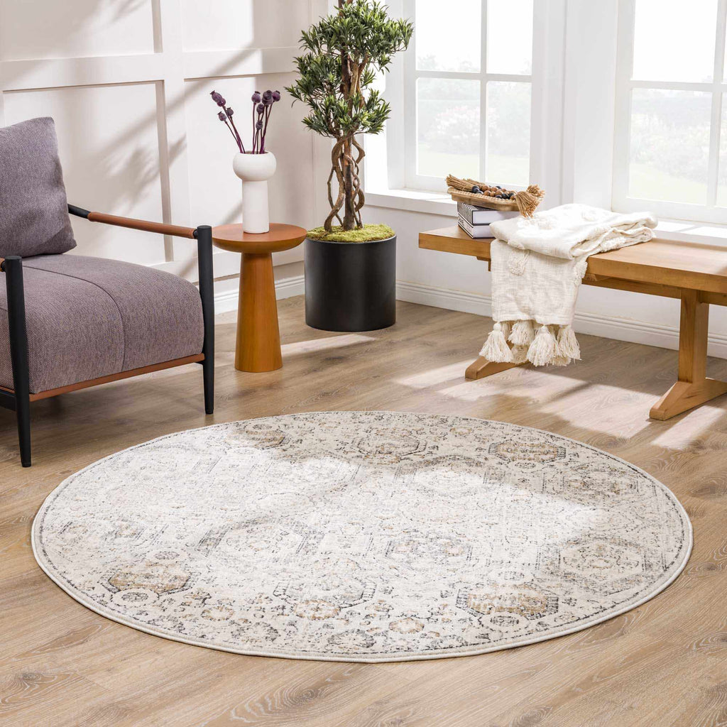 Moroccan-Style Lush Area Rug
