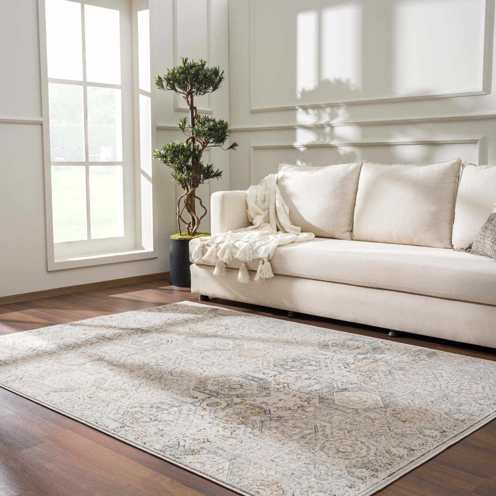 Moroccan-Style Lush Area Rug