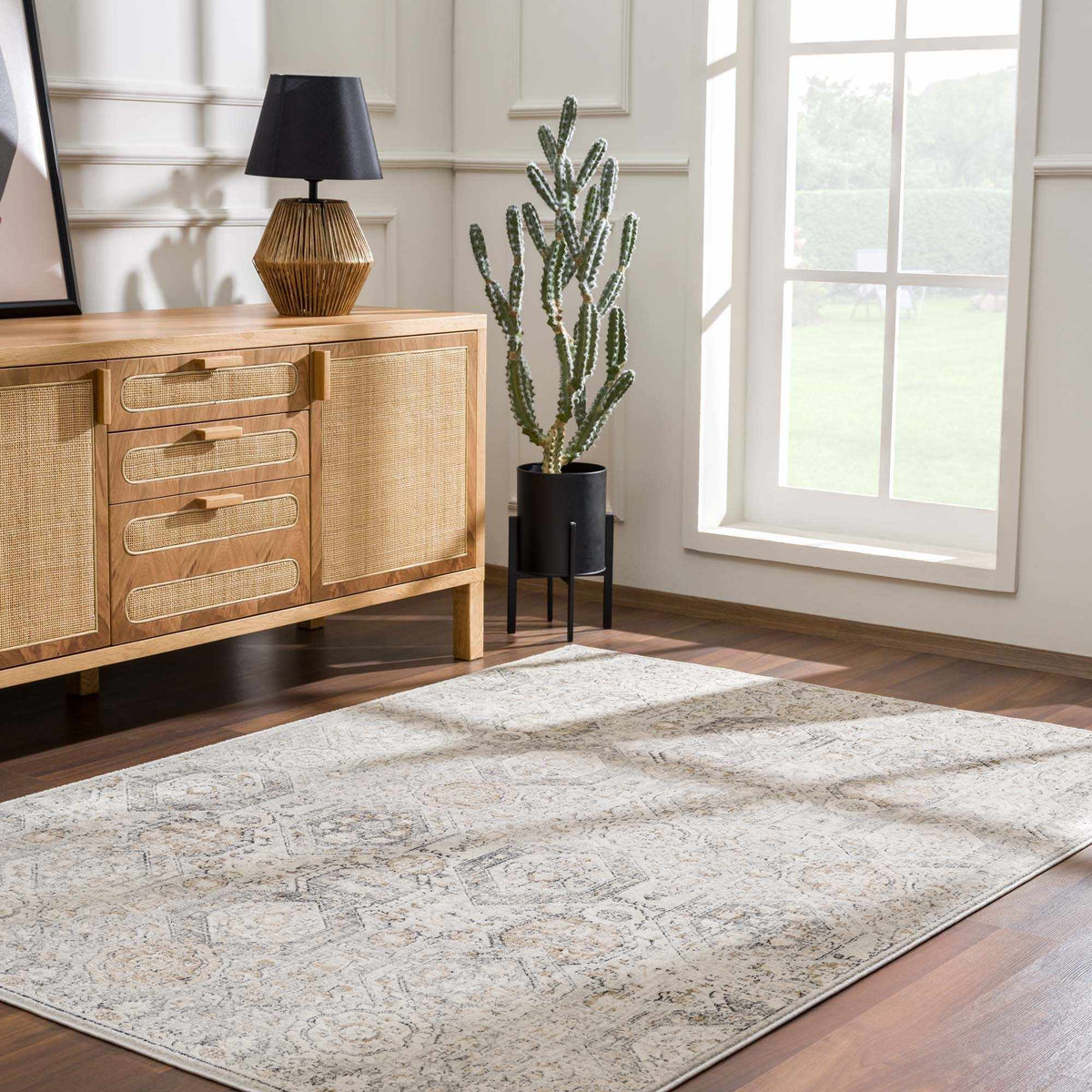 Moroccan-Style Lush Area Rug