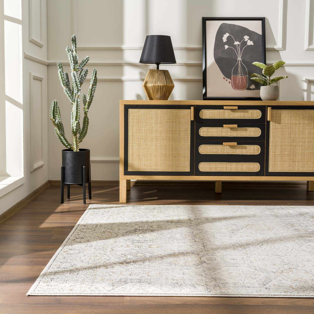 Moroccan-Style Lush Area Rug