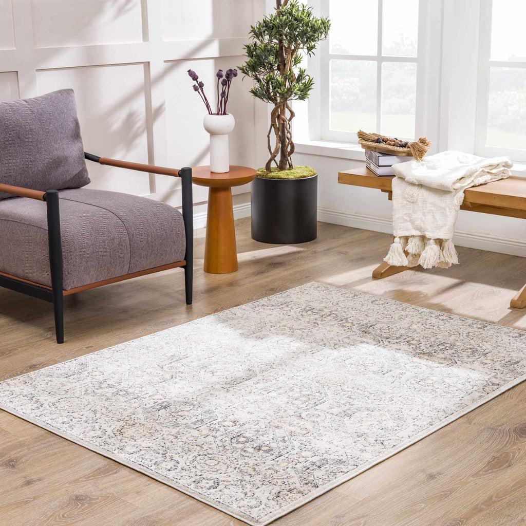 Moroccan-Style Lush Area Rug