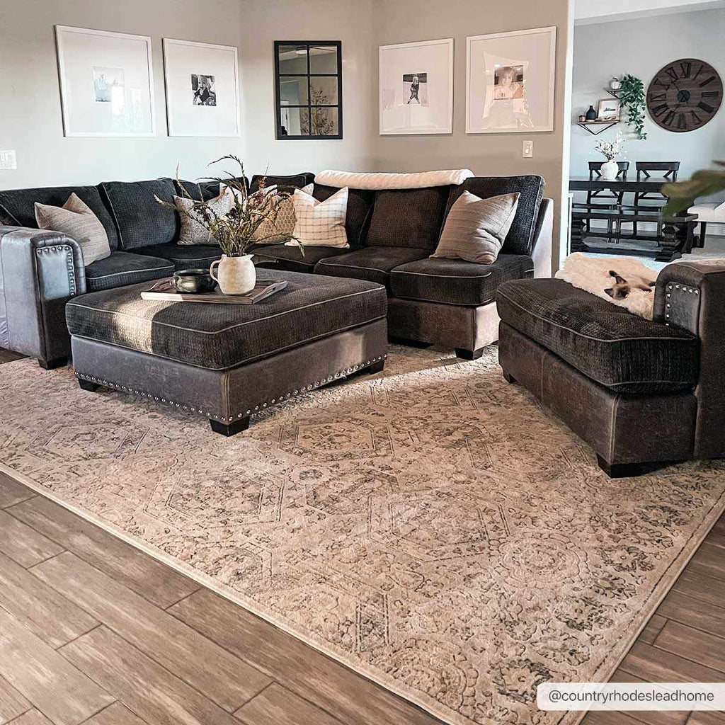 Moroccan-Style Lush Area Rug