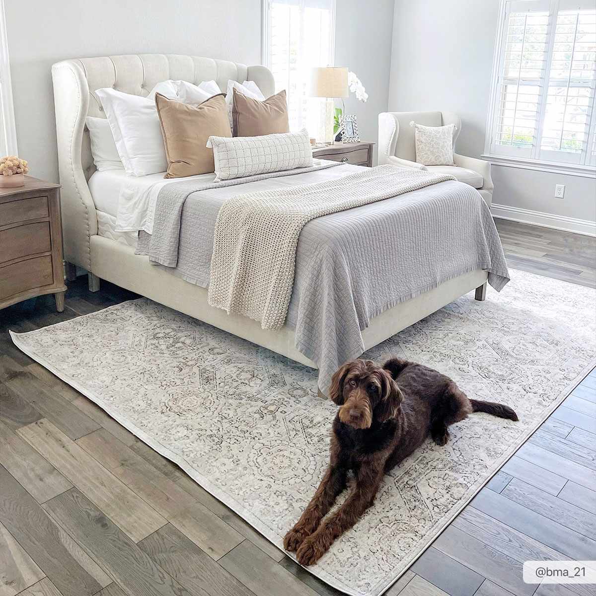 Moroccan-Style Lush Area Rug