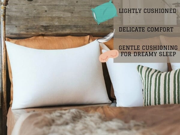 Comfort Medium-Firm 20×28 Pillow Insert
