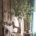 Real Appeal Olive Tree