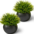 Realistic Plants Shelf Decor