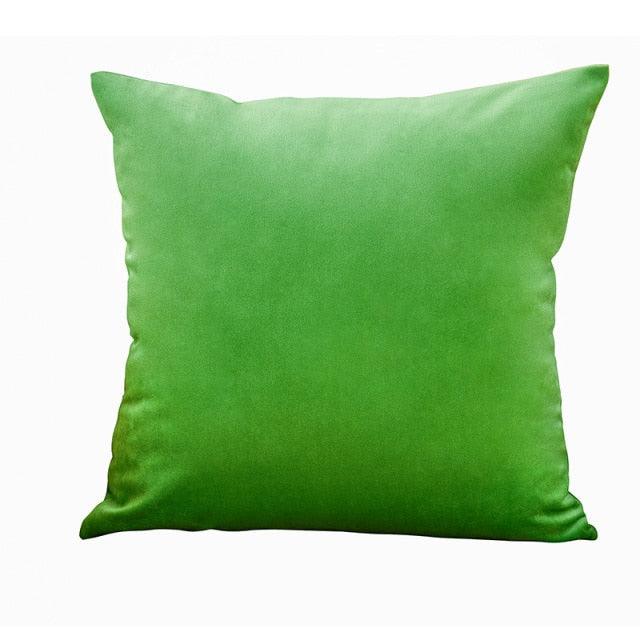 Velvet Throw Pillow Cover