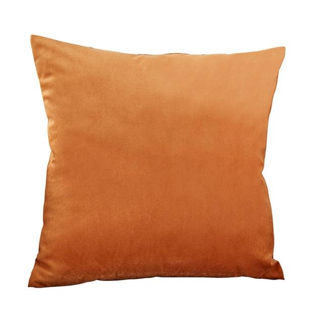 Velvet Throw Pillow Cover