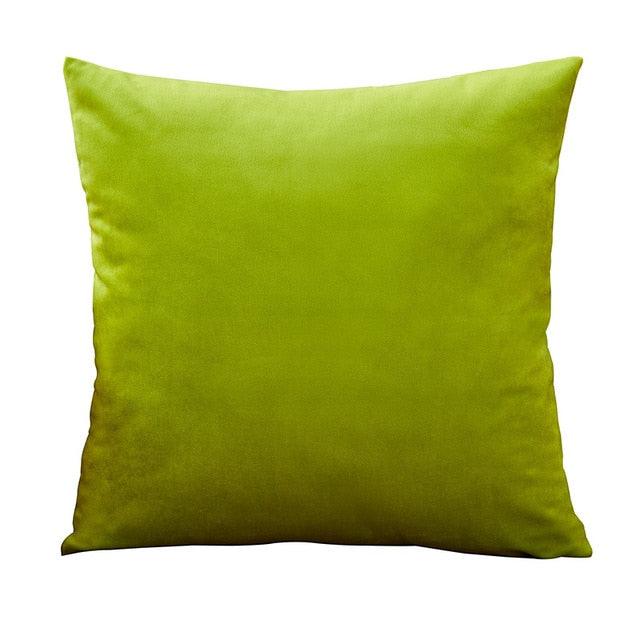 Velvet Throw Pillow Cover