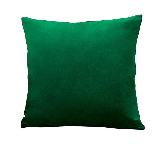 Velvet Throw Pillow Cover