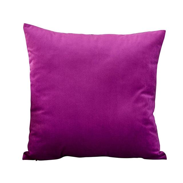 Velvet Throw Pillow Cover