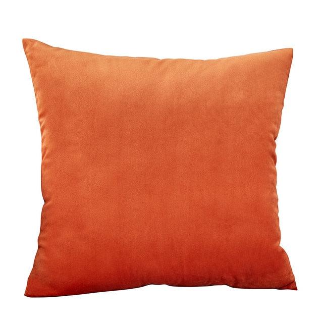 Velvet Throw Pillow Cover