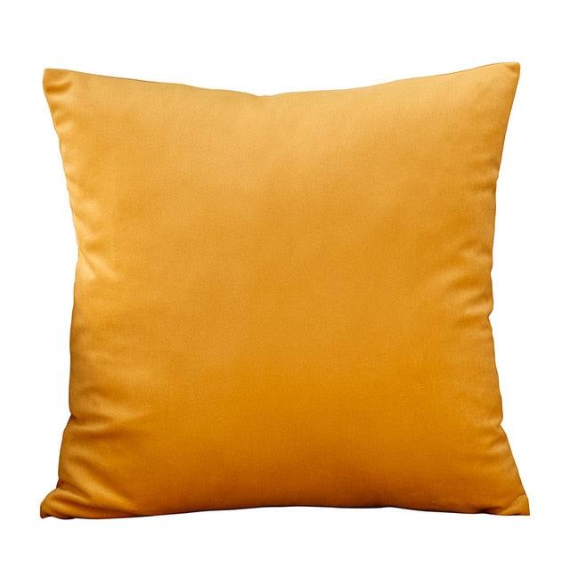 Velvet Throw Pillow Cover