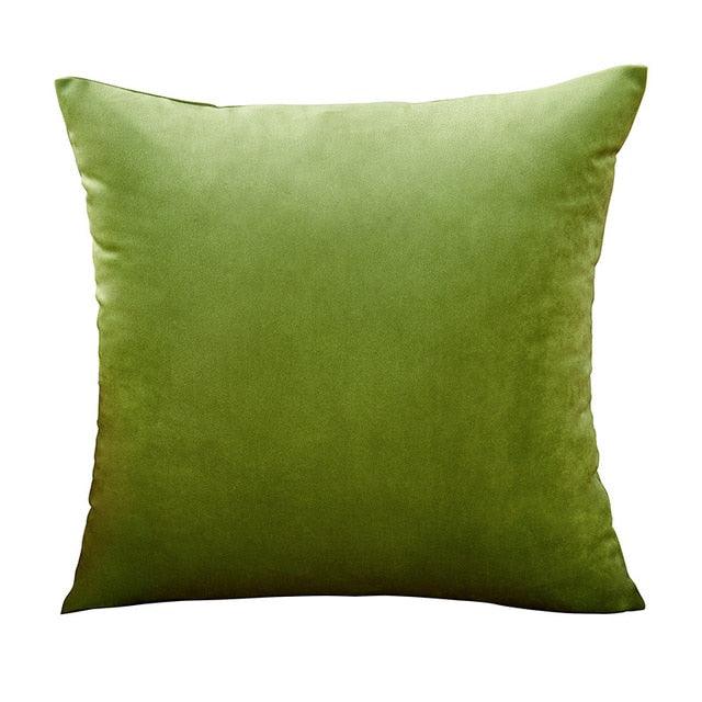 Velvet Throw Pillow Cover