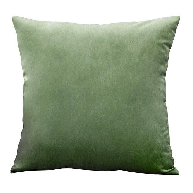 Velvet Throw Pillow Cover